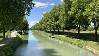 Pour mettre en valeur les bienfaits des allées bordées d’arbres, l’association Allées-Avenues/Allées d’avenir et le conseil départemental de Haute-Garonne proposent une journée dédiée le 20 octobre  à Toulouse. ©P.Fayolle